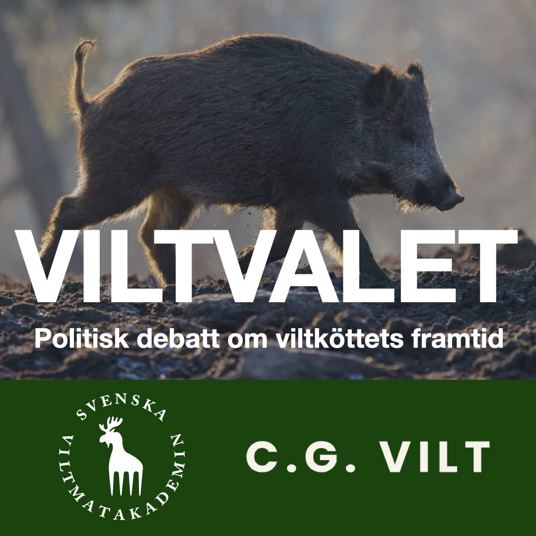 Viltvalet.jpg.001
